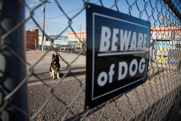 A large German Shepherd behind a metal fence with a beware of dog sign stuck to it.